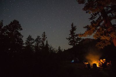 Silhouette of trees against sky at night