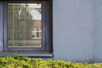 Close-up of window of building