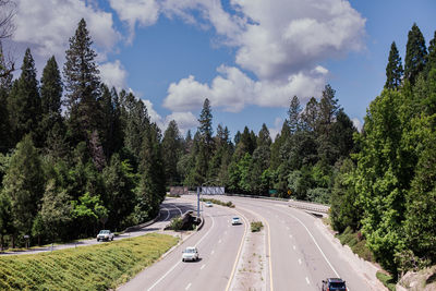 Freeway through the forest peaceful country road through the trees