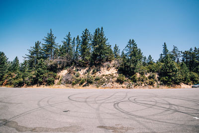 Trees by road against clear blue sky