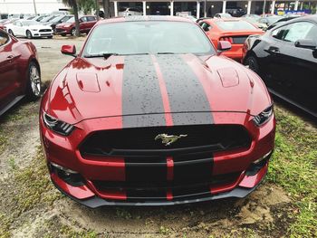 Cars parked in parking lot