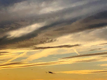 Low angle view of birds flying against orange sky