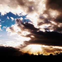 Sunset over landscape