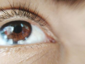 Full frame shot of person with brown eyes