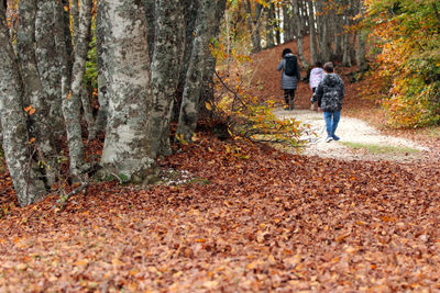 People standing by trees in forest during autumn