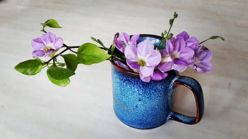 High angle view of purple flowers in vase on table