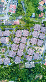 High angle view of tree by building in city