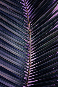 Full frame shot of abstract background
