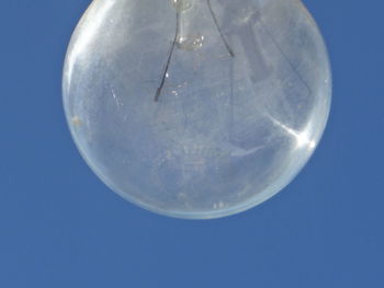 Close-up of jellyfish against blue background