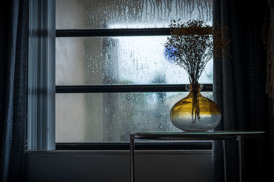 Close-up of wet glass window