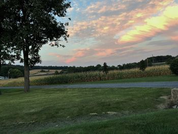 Scenic view of grassy field against sky