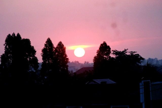 sunset, tree, silhouette, sky, sun, tranquility, scenics, tranquil scene, beauty in nature, nature, orange color, moon, idyllic, copy space, dusk, dark, landscape, outdoors, no people, clear sky