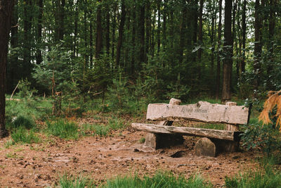 Wooden logs in forest