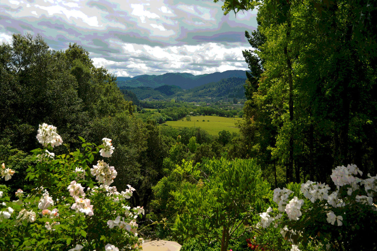 SCENIC VIEW OF GREEN LANDSCAPE AND MOUNTAINS AGAINST SKY