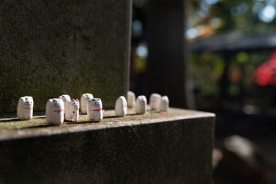 Close-up of bottles in row against wall