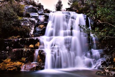 View of waterfall in forest