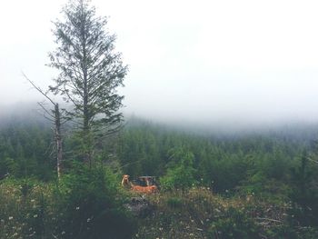 Scenic view of field in foggy weather