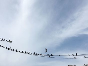 Low angle view of birds perching on cable against sky