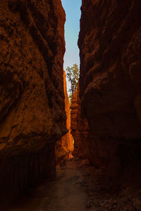 Rock formations in cave