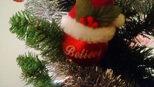 Close-up of christmas ornament on tree