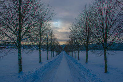 Snow covered road amidst bare trees against sky