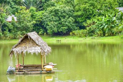 Boat floating on lake against trees in forest