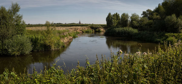 River ruhr natural biotope