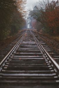 Empty railroad tracks in forest during autumn