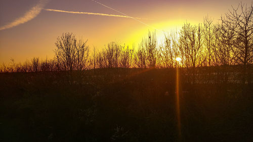 Silhouette trees against sky during sunset