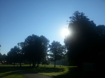 Scenic view of grassy field against sky