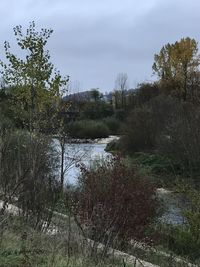 Scenic view of river against sky