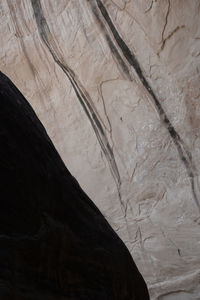 Curving lines of desert varnish decorate an undercut canyon wall.