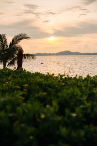 Scenic view of sea against sky during sunset