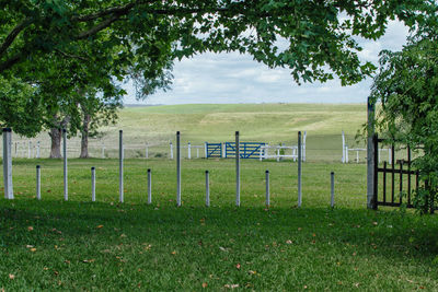 Trees growing on field against sky