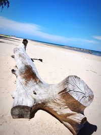 Driftwood on sand at beach against blue sky