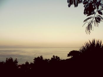 Scenic view of sea at sunset