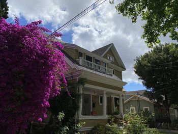 Low angle view of pink and building against sky
