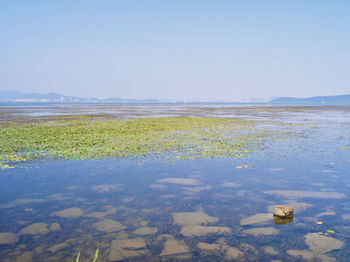 Scenic view of lake against clear sky