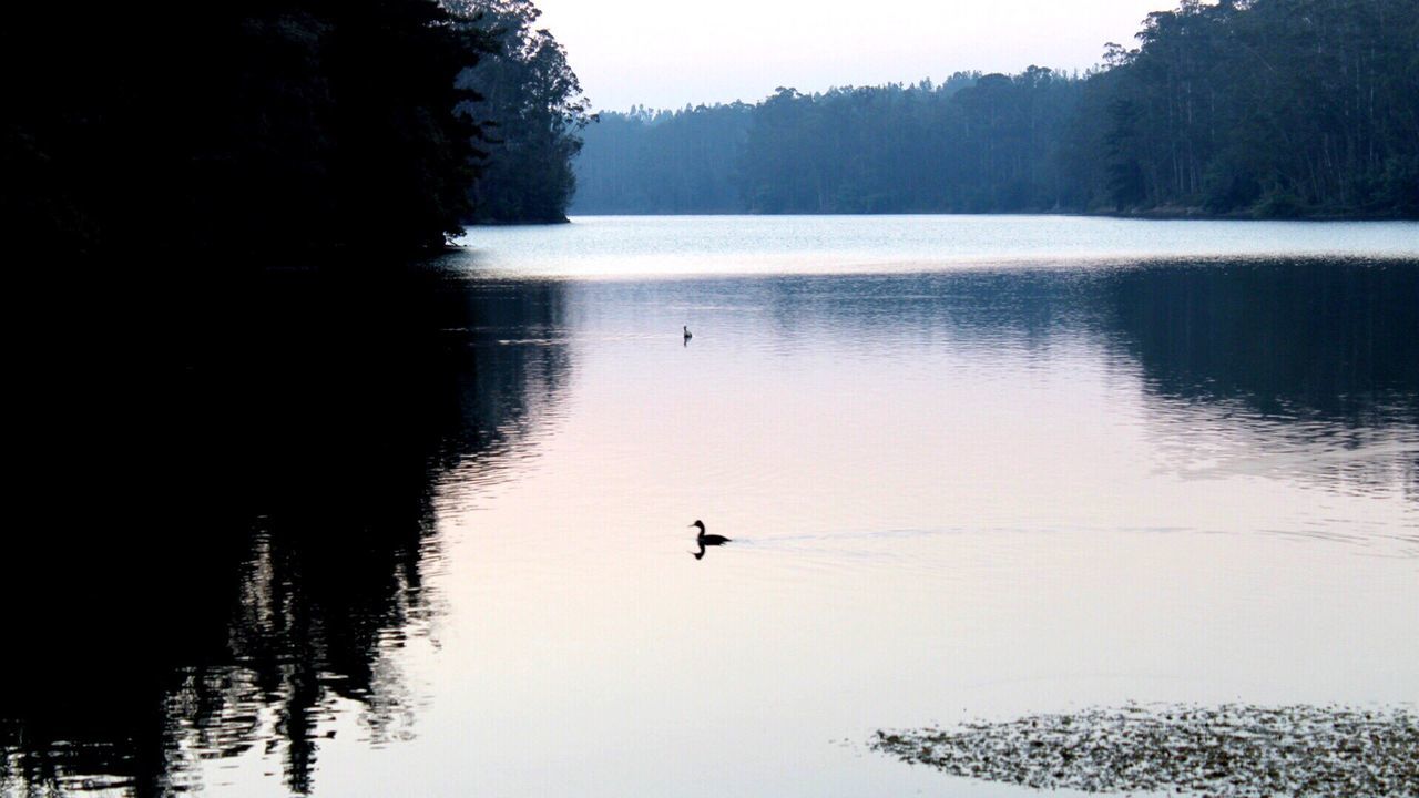 Laguna de la Luz, Curauma