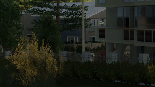 Trees and houses against sky at night