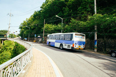 View of cars on road