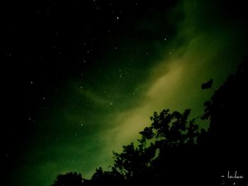 Low angle view of silhouette trees against sky at night