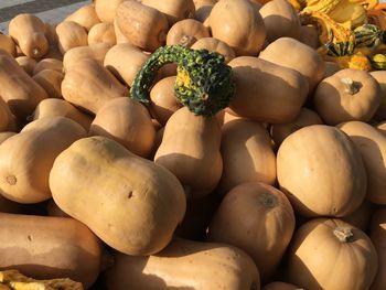 Full frame shot of pumpkins for sale at market