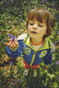 High angle view of boy holding bluebell while standing on field