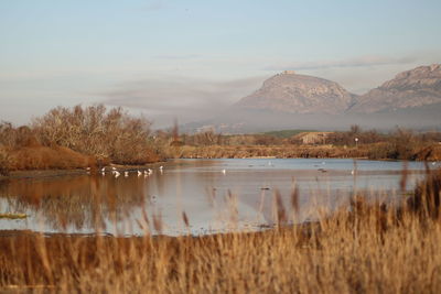 Scenic view of lake against sky