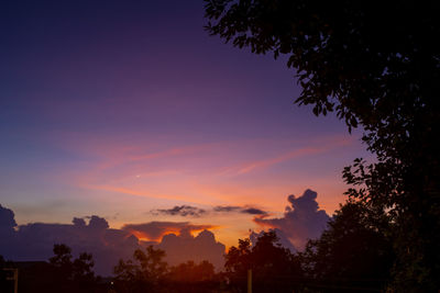 Low angle view of silhouette trees against romantic sky