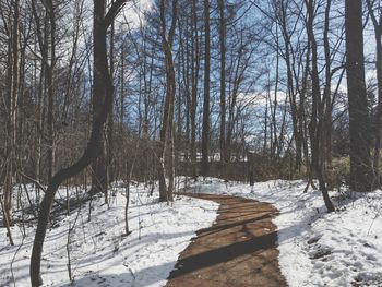 Bare trees on snow covered landscape