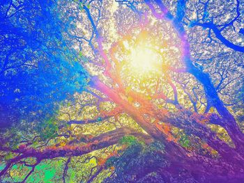 Low angle view of tree growing in forest against sky