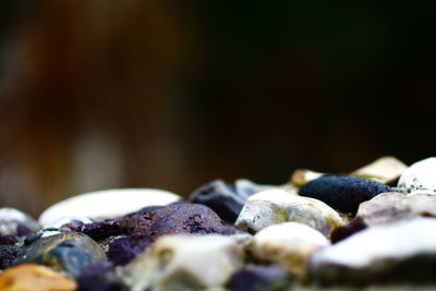 Close-up of pebbles