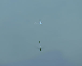 Low angle view of helicopter flying over sea against sky